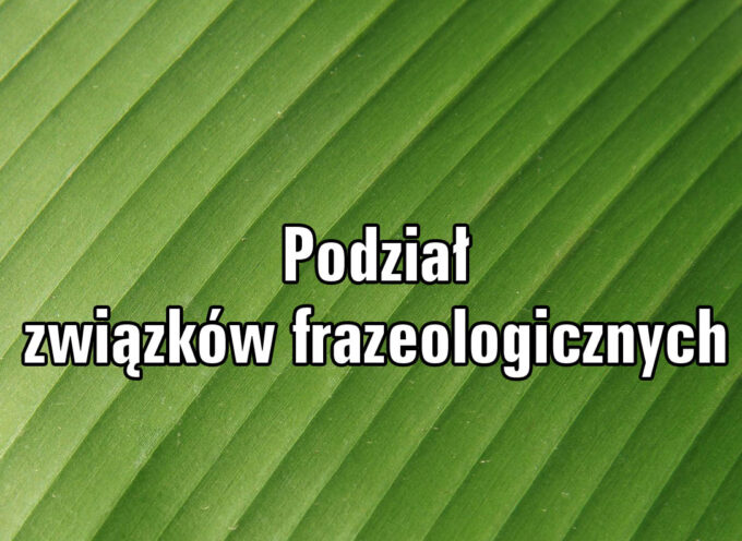 Podział związków frazeologicznych