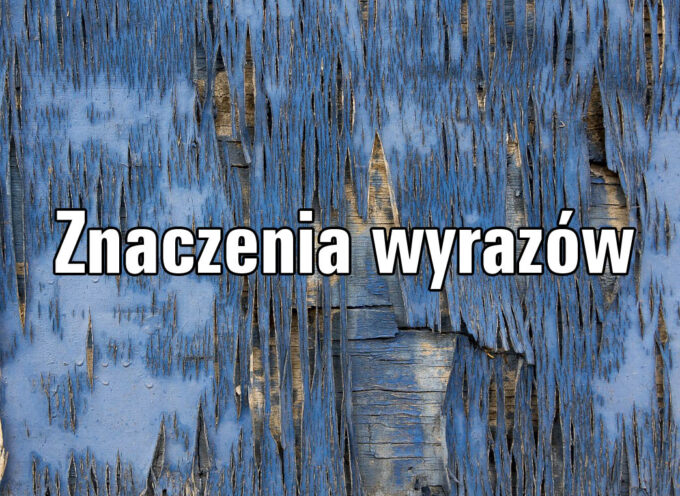 Znaczenia wyrazów