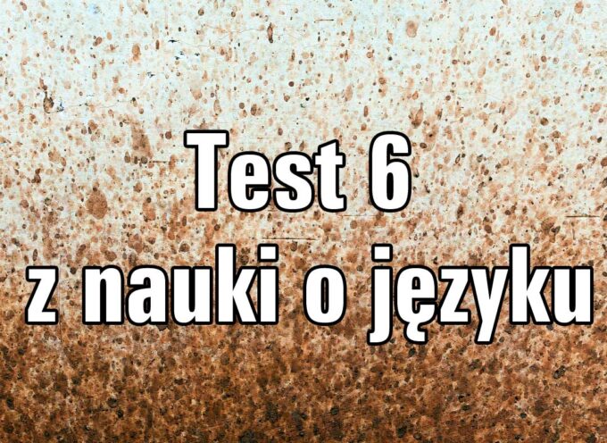 Test z nauki o języku 6