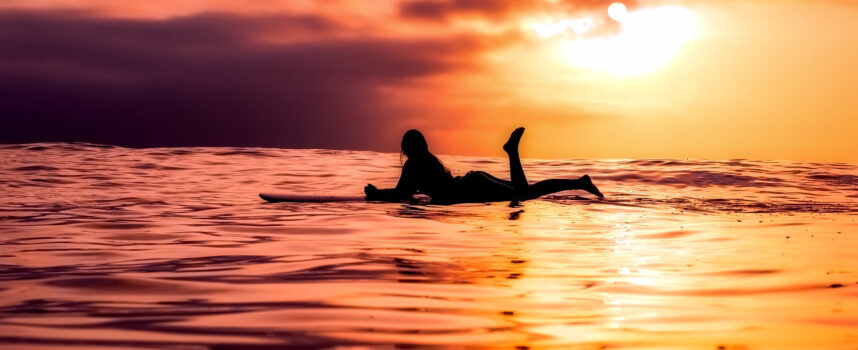 THE HOLIDAY OF MY DREAMS