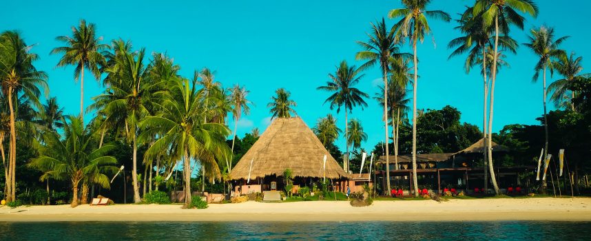 I would like to see…