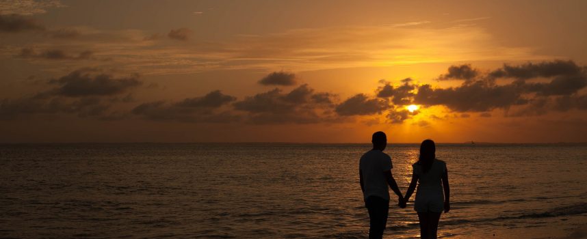 Summer love! Will you stay forever?