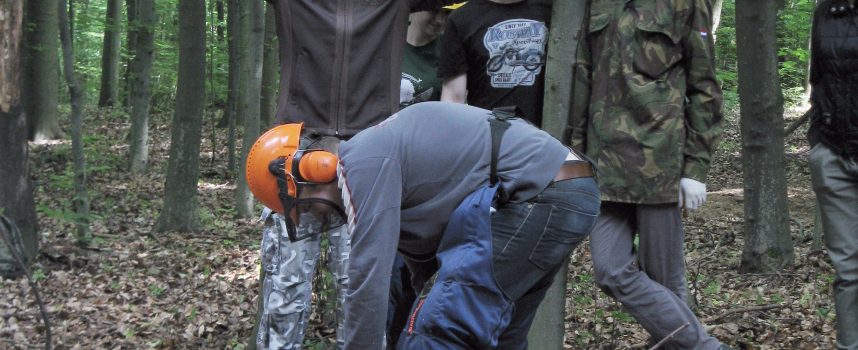 Po co studentom koła naukowe?