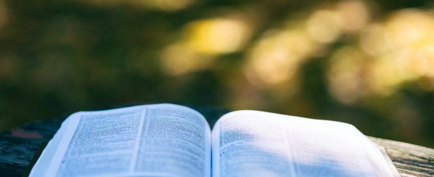 Top 5 kierunków – studia, po których na pewno znajdziesz pracę