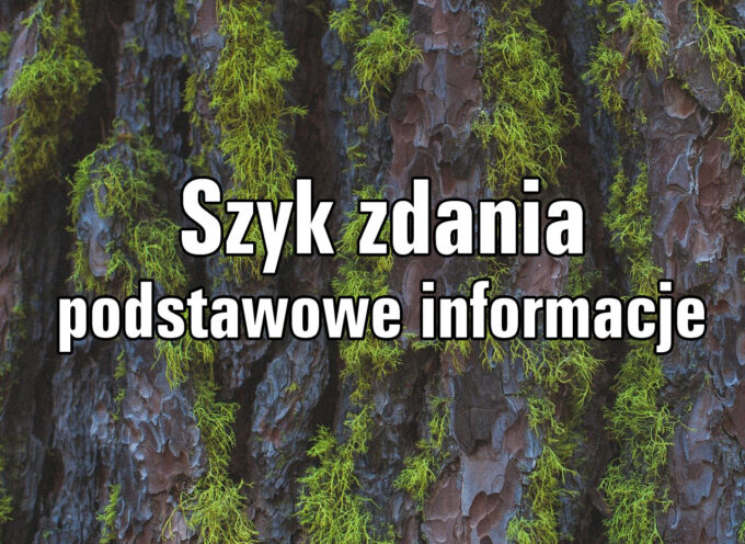 Szyk zdania – podstawowe informacje