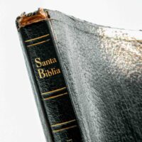 Gatunki biblijne