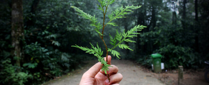 Dlaczego warto podjąć studia drugiego stopnia na kierunku ochrona środowiska?