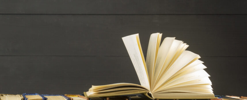 Poznaj rezolutnego Emila, bohatera książki Astrid Lindgren