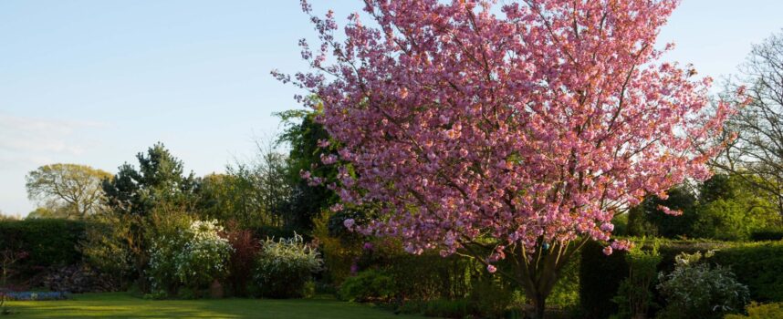 Zestaw ogrodowy. Wybierz odpowiedni do Twojego ogrodu