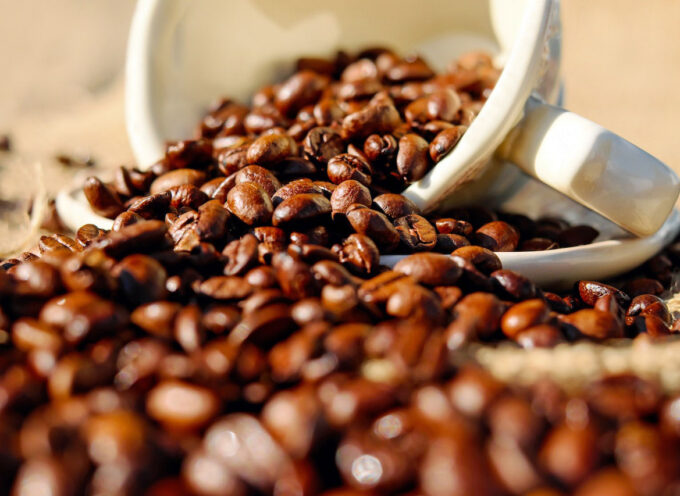 Odmiany kawy ziarnistej – co warto wiedzieć?