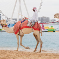 Podróże w Dubaju – Inspirujące historie z serca Emiratów