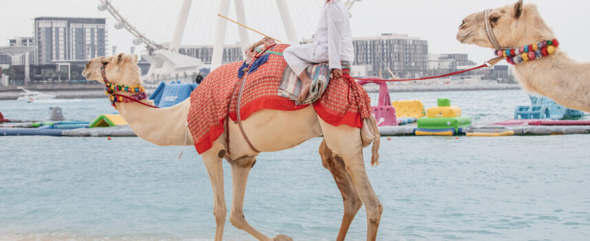 Podróże w Dubaju – Inspirujące historie z serca Emiratów