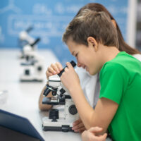 Mikroskop szkolny – dlaczego i gdzie warto go kupić?