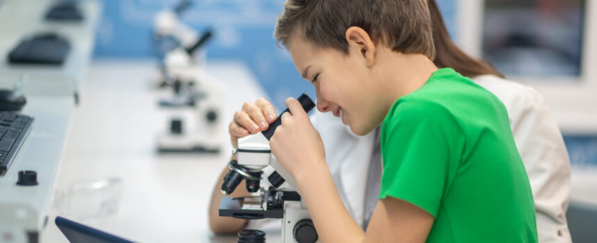 Mikroskop szkolny – dlaczego i gdzie warto go kupić?